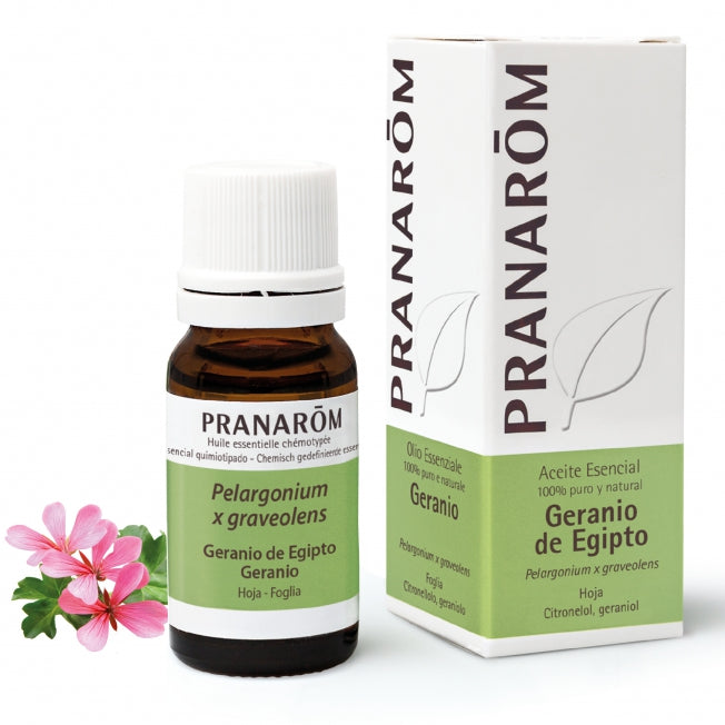 Geranio de Egipto-Hoja, 10 ml