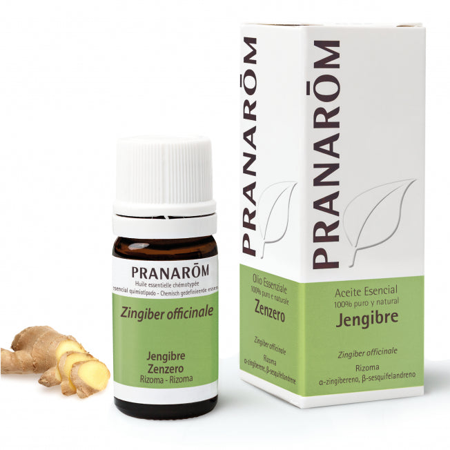 Jengibre Rizoma ,5ml.