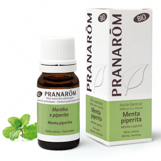 Menta Piperita 10 ml, partes aéreas