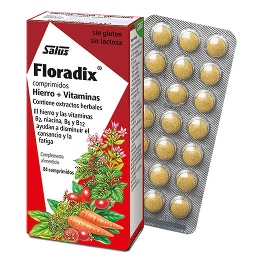 Floradix 84 comprimidos