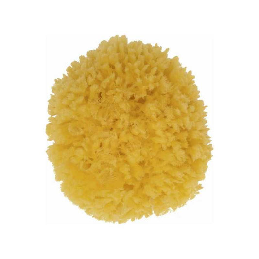 Esponja natural