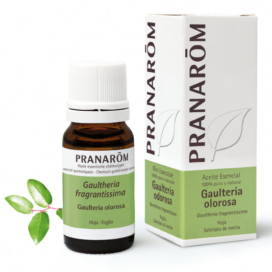 Gaulteria Olorosa biológica,10 ml