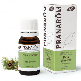 Pino Silvestre ,10 ml